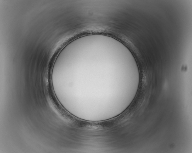 X0000113140582200910021442