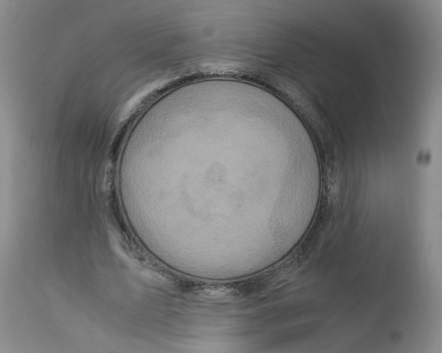 X0000113140583200910021442