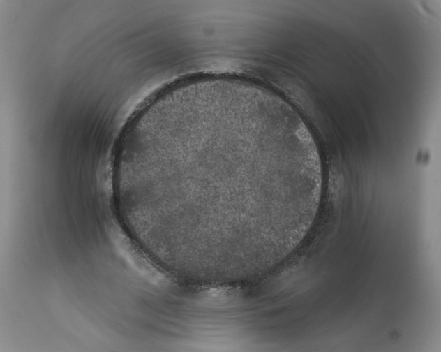 X0000113140584200910021442