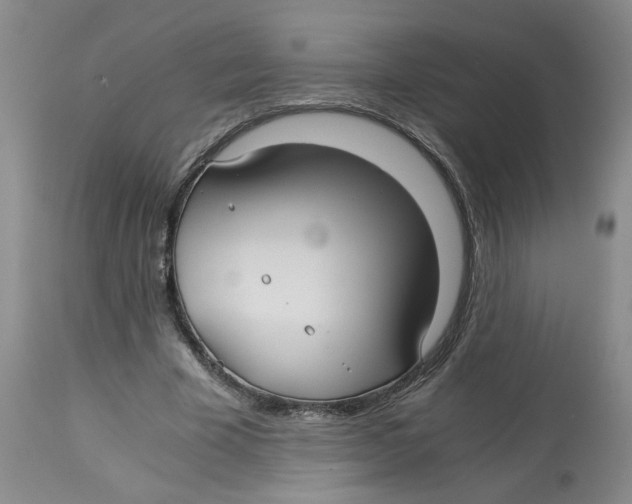 X0000113140585200910021442