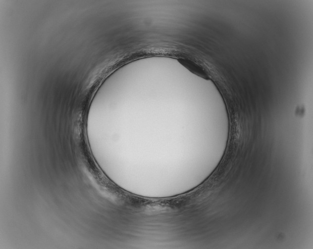 X0000113140586200910021442