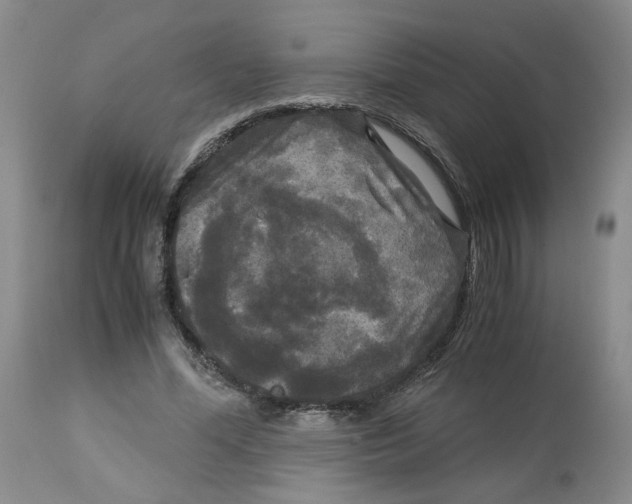 X0000113140588200910021442