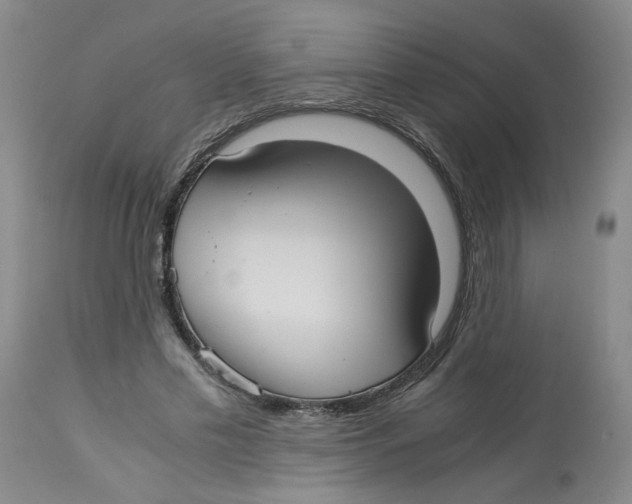 X0000113140589200910021442