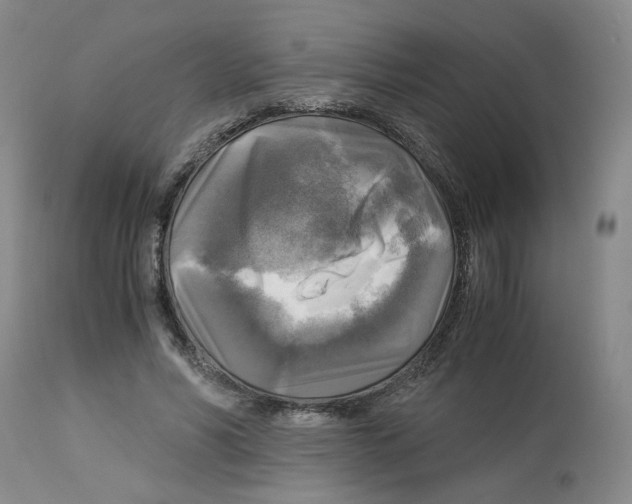 X0000113140590200910021442
