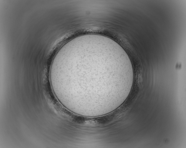 X0000113140591200910021442