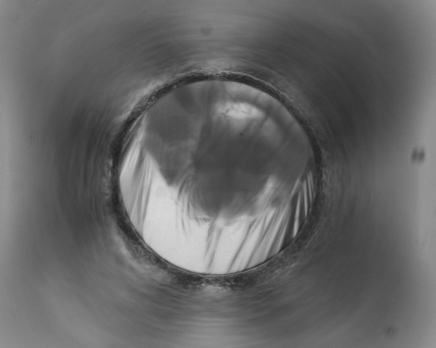 X0000113140592200910021442