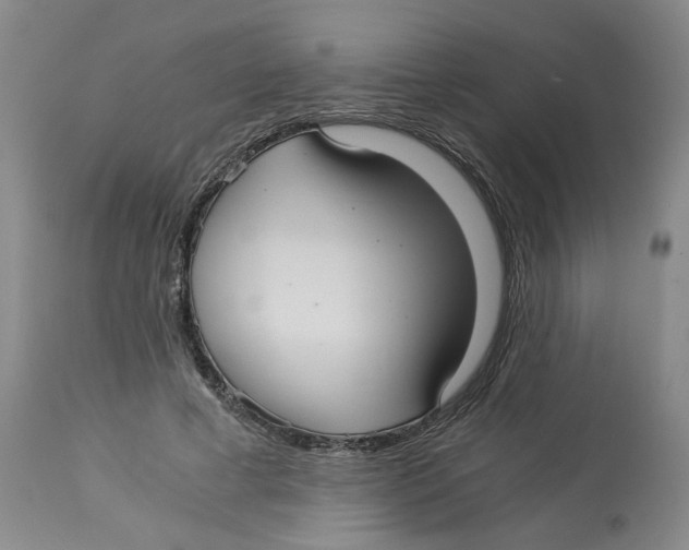 X0000113140593200910021442