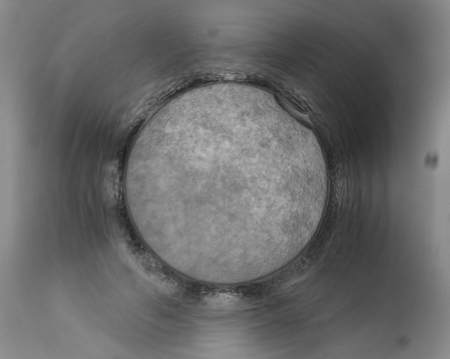 X0000113140594200910021442