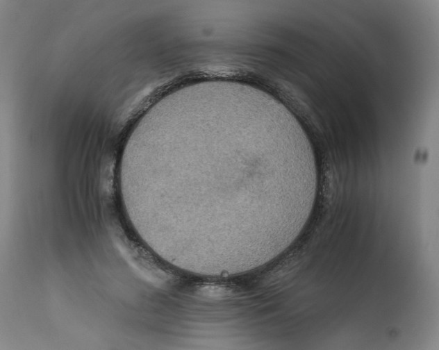 X0000113140596200910021442