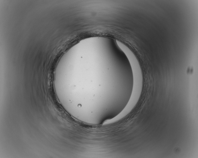 X0000113140597200910021442
