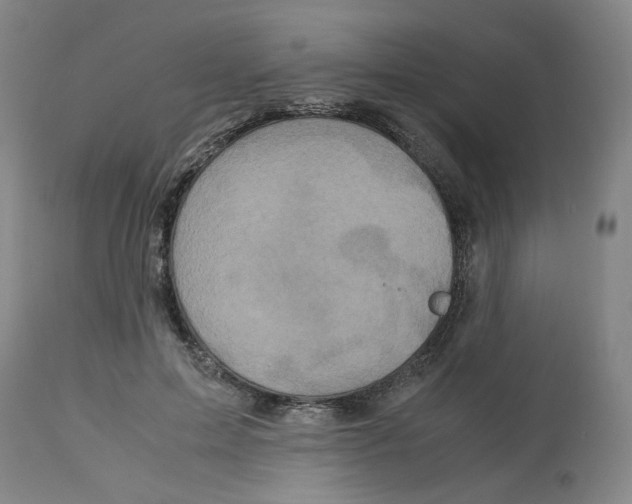 X0000113140599200910021442