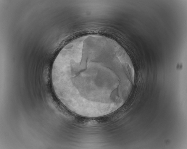 X0000113140600200910021442