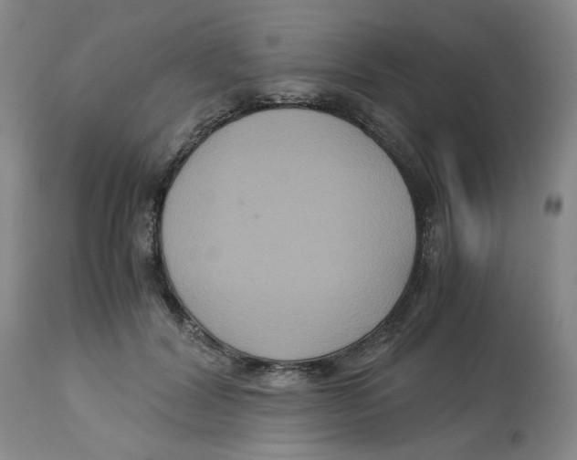 X0000113140604200910021441