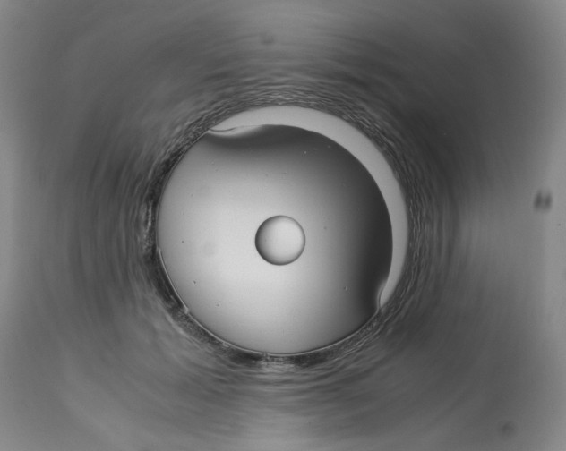 X0000113140605200910021441