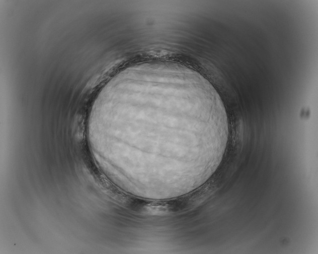 X0000113140606200910021441