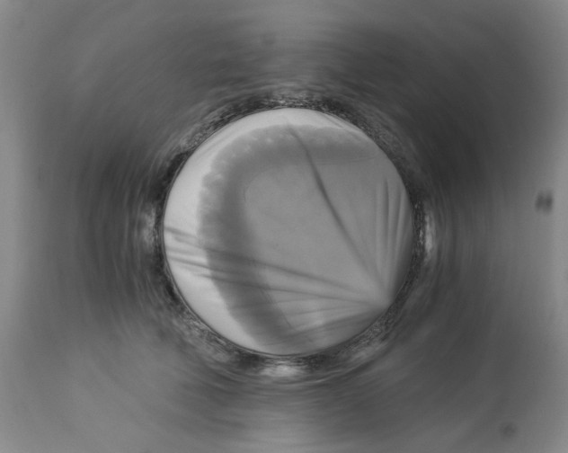 X0000113140610200910021441
