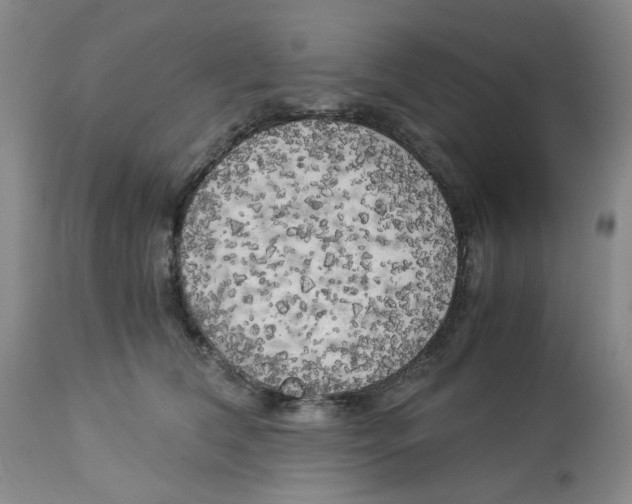 X0000113140612200910021441