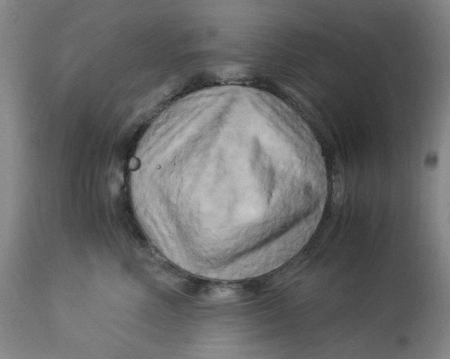 X0000113140618200910021441