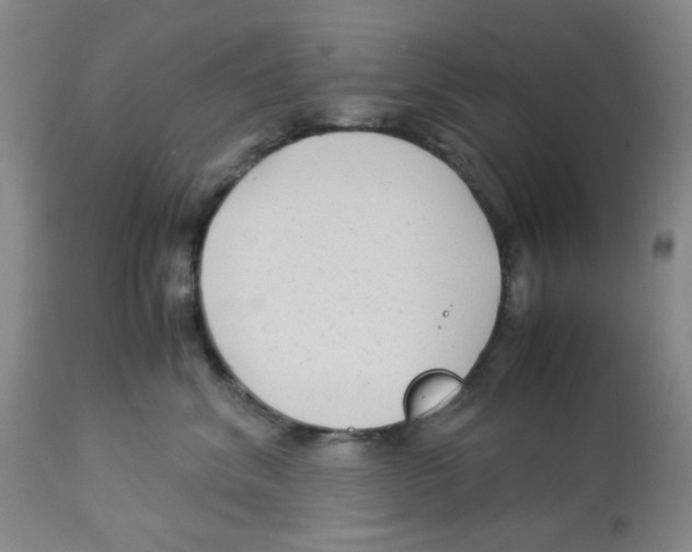 X0000113140620200910021441