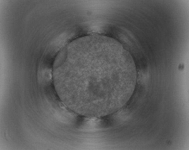 X0000113140621200910021441