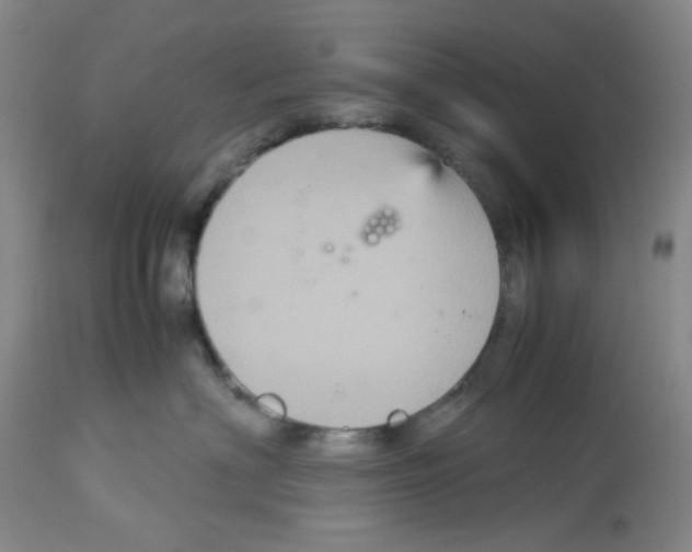 X0000113140622200910021441