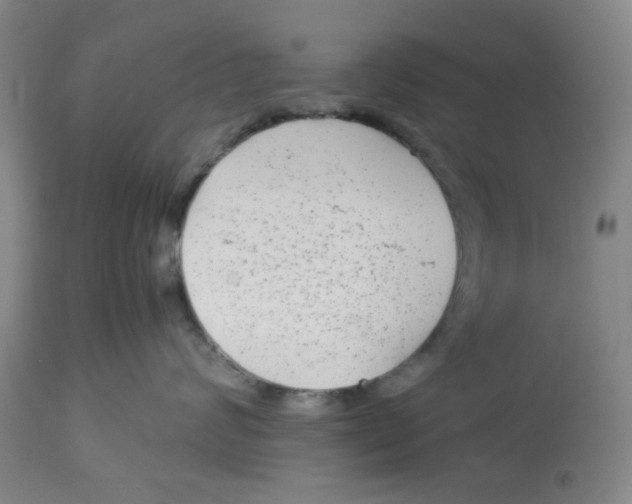 X0000113140624200910021441