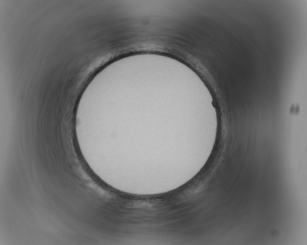 X0000113140625200910021440