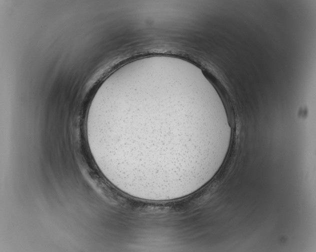 X0000113140626200910021440