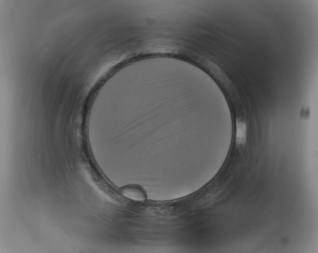 X0000113140627200910021440