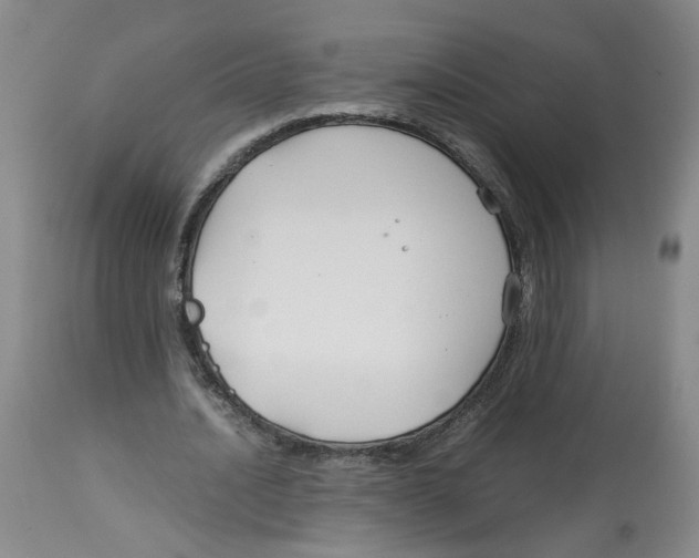 X0000113140628200910021440