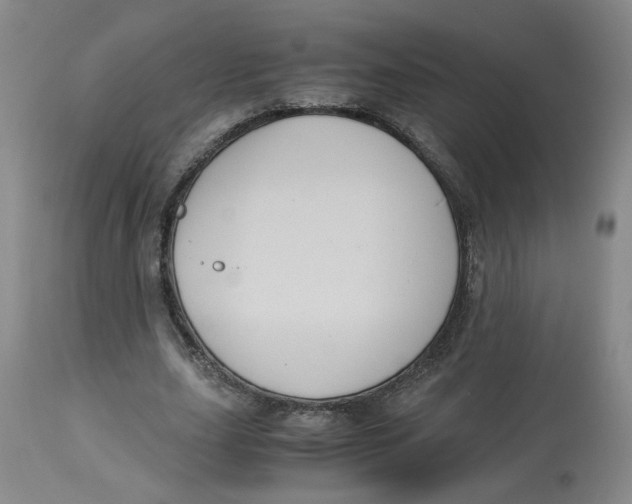 X0000113140631200910021440