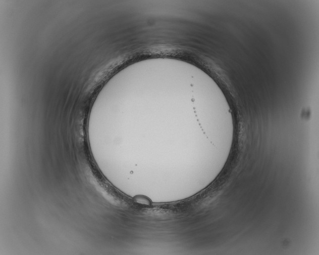 X0000113140633200910021440