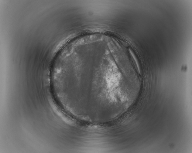 X0000113140634200910021440