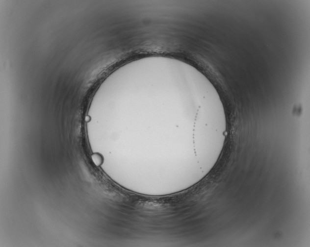 X0000113140635200910021441