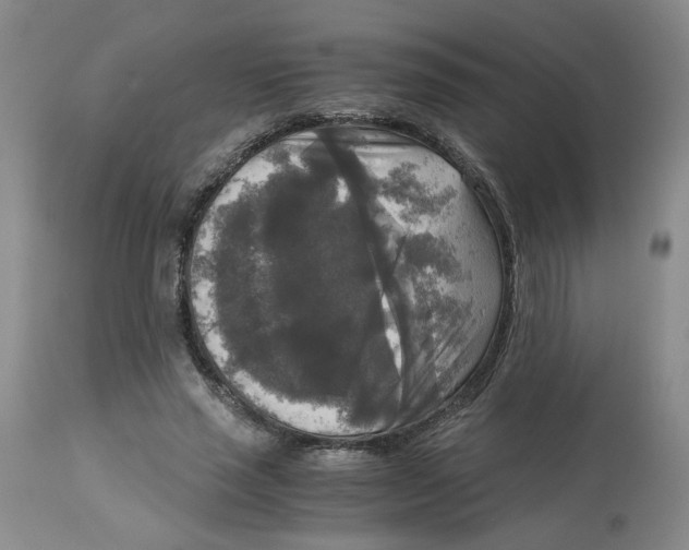 X0000113140637200910021441