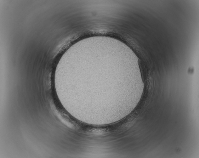 X0000113140638200910021441