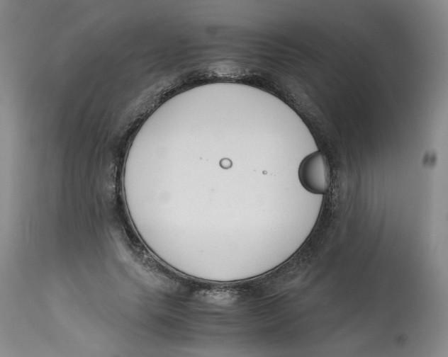 X0000113140639200910021441