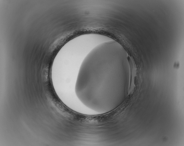 X0000113140640200910021441