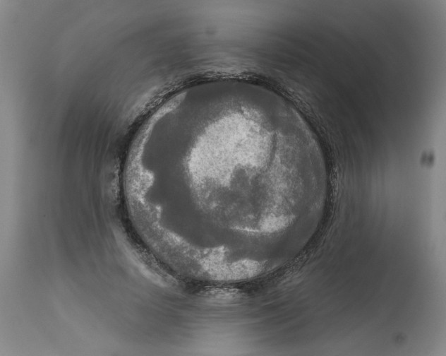 X0000113140642200910021441