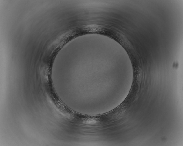 X0000113140643200910021441
