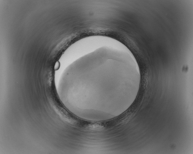 X0000113140644200910021441