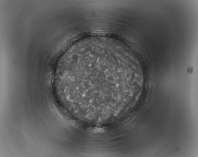 X0000113140647200910021441