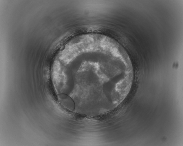 X0000113140648200910021441