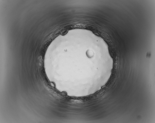 X0000113140649200910021441