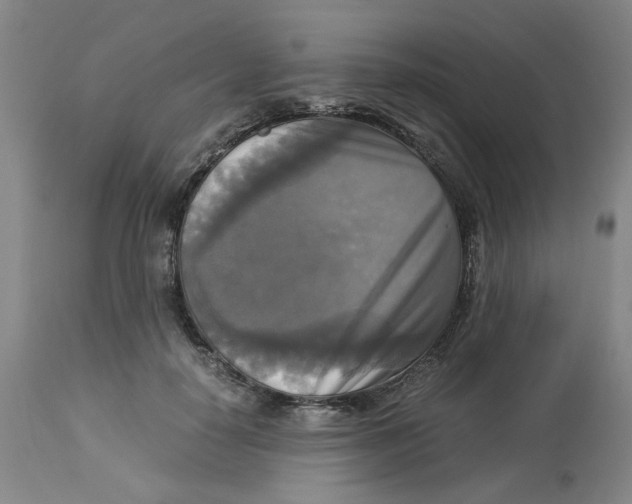 X0000113140650200910021441