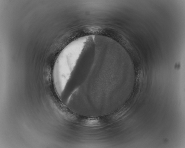 X0000113140651200910021441