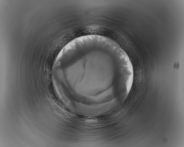 X0000113140653200910021441