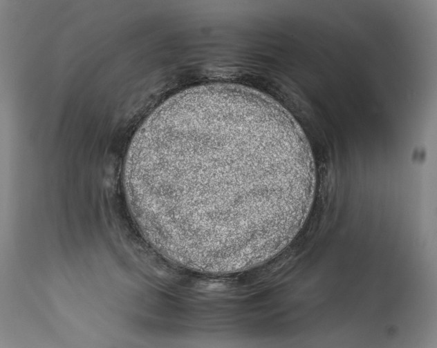 X0000113140655200910021441