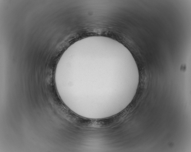 X0000113140656200910021441