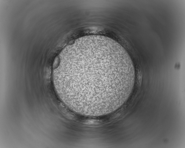 X0000113140657200910021441